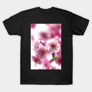 Double weeping cherry blossoms T-Shirt